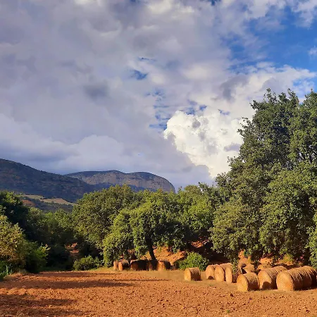 Corral De L'esquirol *